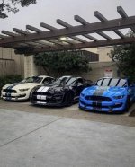 IMG_2648.jpeg
