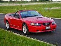9-KBStang.jpg