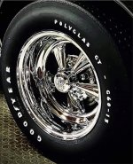 IMG_3184.jpeg
