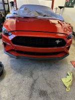 IMG_9329.jpeg