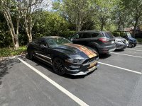 IMG_6361.jpeg