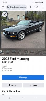1000019641.jpg