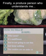 1745610652853.png