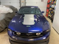 IMG_2916.jpeg