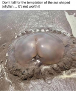 1745969035192.png