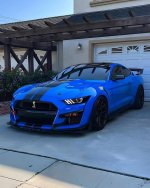 IMG_2887.jpeg