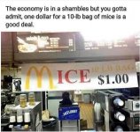 FB_IMG_1746278503355.jpg