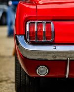 IMG_3355.jpeg