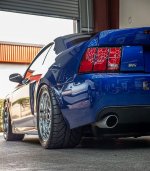 IMG_3365.jpeg
