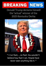 1746565205066.png