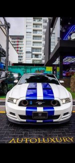 IMG_3038.jpeg
