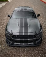 IMG_3033.jpeg