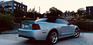 IMG_9153.jpeg