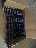 IMG_0332.jpeg