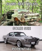 IMG_3957.jpeg