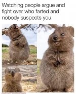 IMG_2716.jpeg