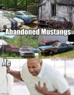 IMG_4028.jpeg