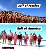 IMG_2725.jpeg