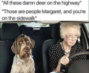 1747382790435.png