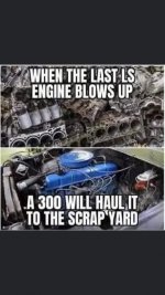 IMG_4061.jpeg