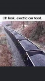 IMG_4132.jpeg