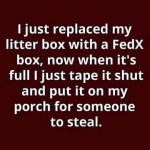 IMG_2742.jpeg