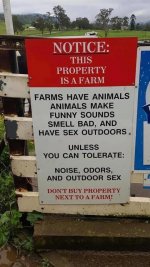IMG_4141.jpeg