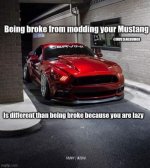 IMG_4125.jpeg