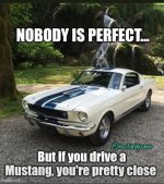 IMG_4154.jpeg