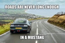 IMG_4155.jpeg