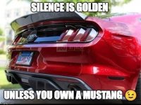 IMG_4170.jpeg