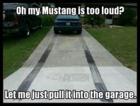 IMG_8933.jpeg