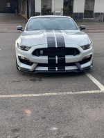 IMG_3354.jpeg