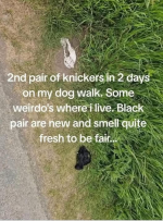 1748024782402.png