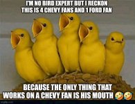 IMG_4204.jpeg