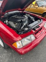 IMG_3523.jpeg