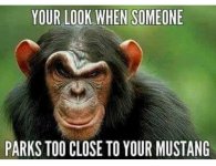 IMG_4232.jpeg