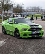 IMG_3372.jpeg