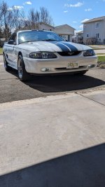 IMG_3816.jpeg