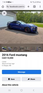1000020719.jpg