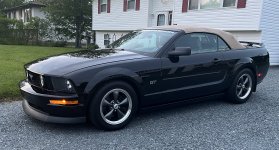 IMG_1308.jpeg