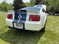 IMG_2890.jpeg