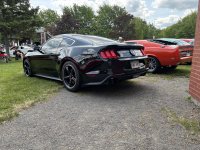 IMG_2887.jpeg
