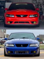 IMG_4330.jpeg