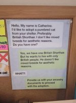 IMG_2989.jpeg