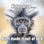 IMG_4672.jpeg