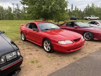 IMG_1318.jpeg