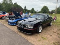 IMG_1317.jpeg