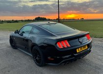 IMG_4261.jpeg