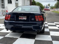 IMG_2997.jpeg